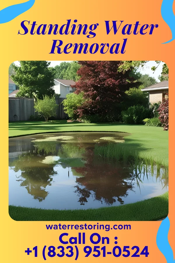Standing Water Removal in Olean, MO